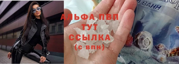 твердый Белокуриха
