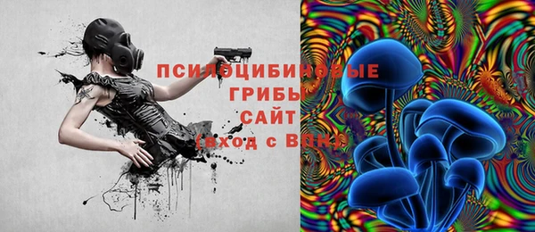 твердый Белокуриха