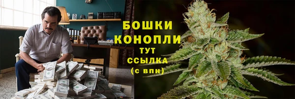 твердый Белокуриха