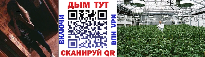 купить наркоту  Кувшиново  Конопля LSD WEED 